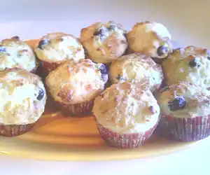 Vegan Blueberry Yogurt Muffins