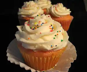 Creamy Vanilla Frosting