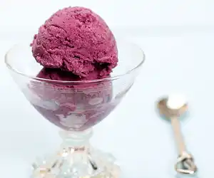 Blueberry Frozen Yogurt