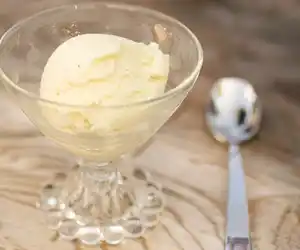 Buttermilk Custard Vanilla Frozen Yogurt