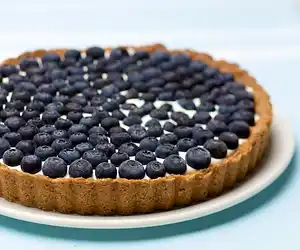 Blueberry Tart - Low Fat
