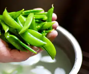 Blanched Sugar Snap Peas