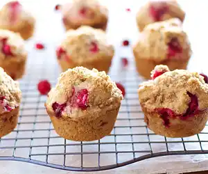 Best Cranberry Muffins