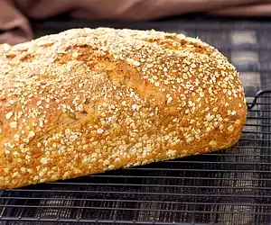 100% Whole Wheat Bread