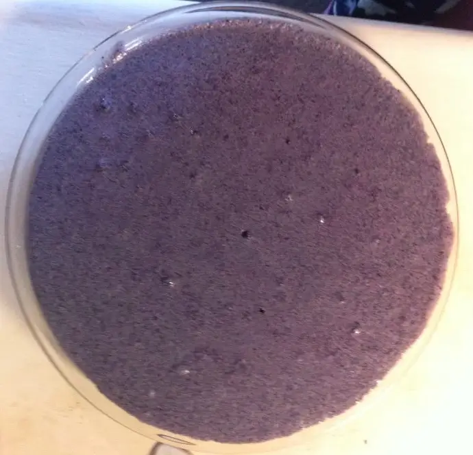 No Crust Blueberry Pie