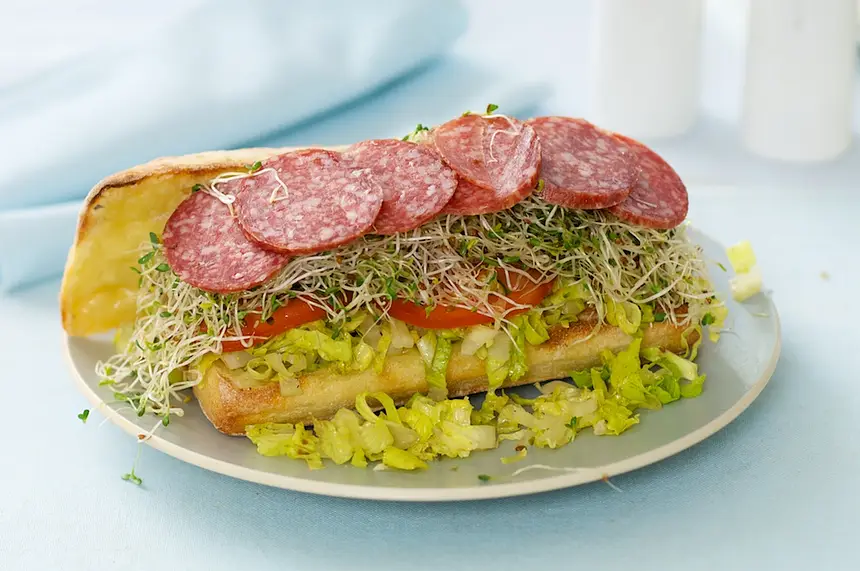 The Mr. Turkey Sandwich