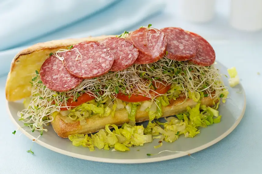 The Mr. Turkey Sandwich