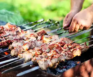 Russian Shashlik