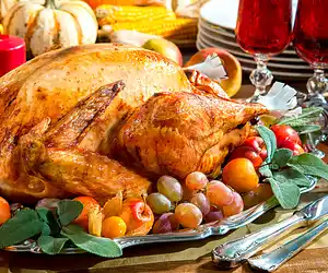Super-Moist Roast Turkey