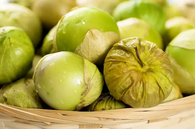 Green Tomatillo Mole