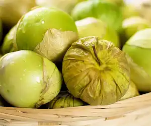 Green Tomatillo Mole