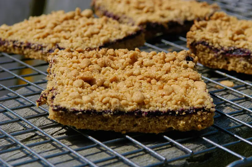Awesome Whole Wheat Blueberry Bars