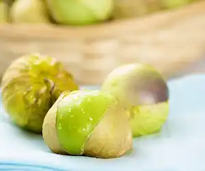 Tomatillo Cream Sauce