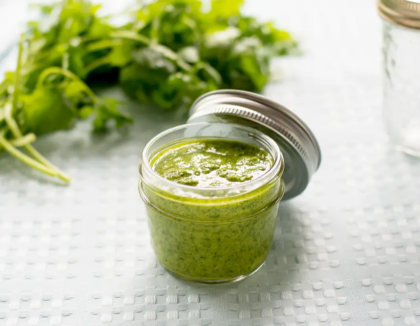 Cilantro Pesto
