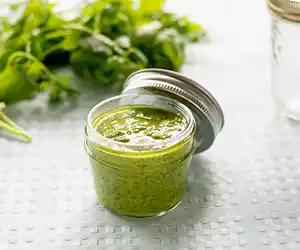 Cilantro Pesto