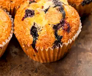 Berry Muffins