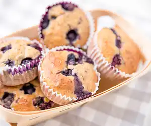 Diabetic Blueberry Muffins