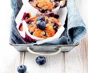 Oatmeal-Blueberry Muffins