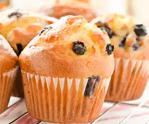 Non-Fat Blueberry Muffins