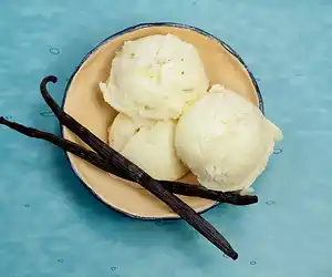 Vanilla Velvet Ice Cream
