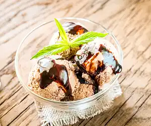 Creamy Chocolate Coconut-Milk Ice Cream