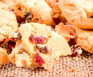 Cranberry-Nut Chocolate Chip Cookies
