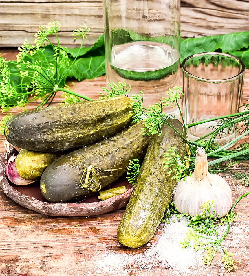 Mimi's Kosher Dill Pickles