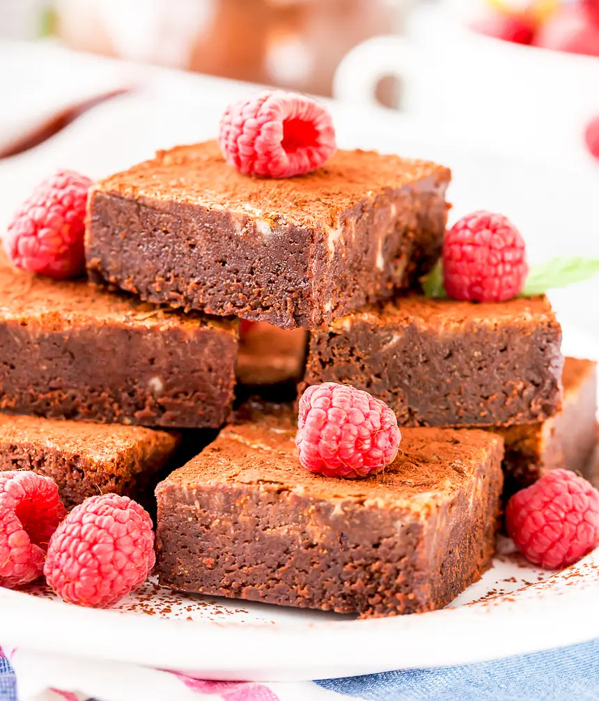 Quickand Easy Fudgey Brownies