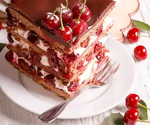 Black Forest Cake No.  4