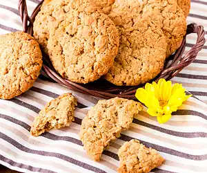 Diabetic Oatmeal Peanut Butter Cookies