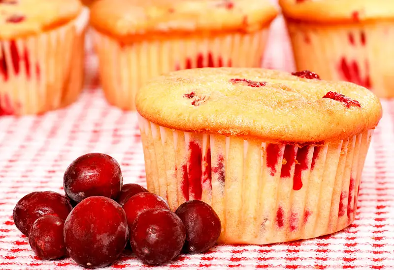 Breakfast Cranberry Pumpkin Muffins