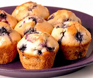 Baking Mix Blueberry Muffins