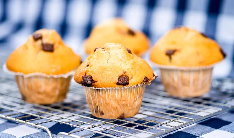 Low-Fat Nilla-Nana Chocolate Chip Muffins