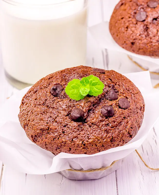Light Double Chocolate Muffins with Yogurt