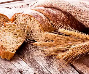 Whole Wheat Bread for the Zojirushi