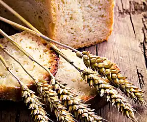 Moist Whole Wheat Oatmeal Bread