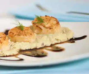 Scallops on Fennel Puree with Honey Balsamic Drizzle