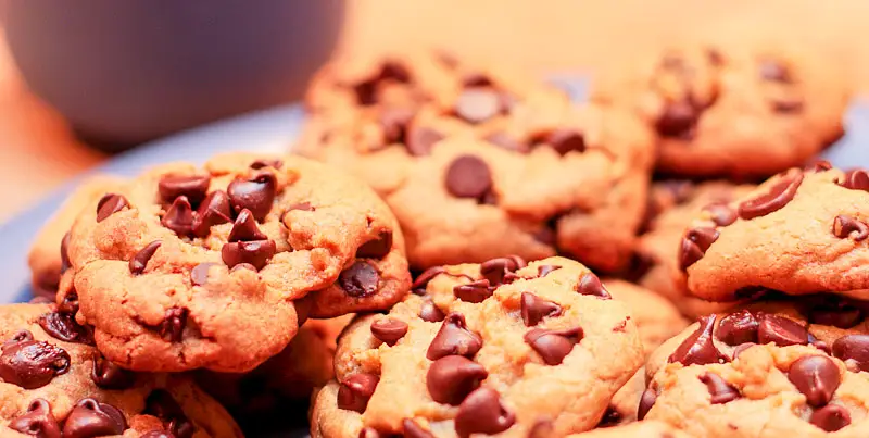 Passover Chocolate Chip Cookies