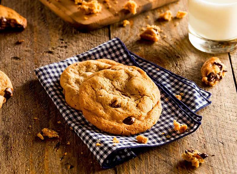First Place Chocolate Chip Cookies