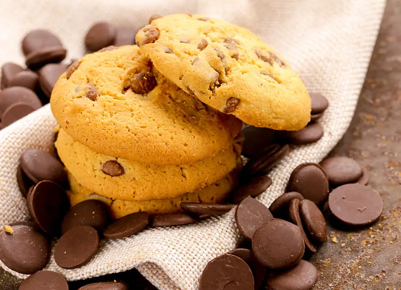 Chocolate Peanut Butter Cookies