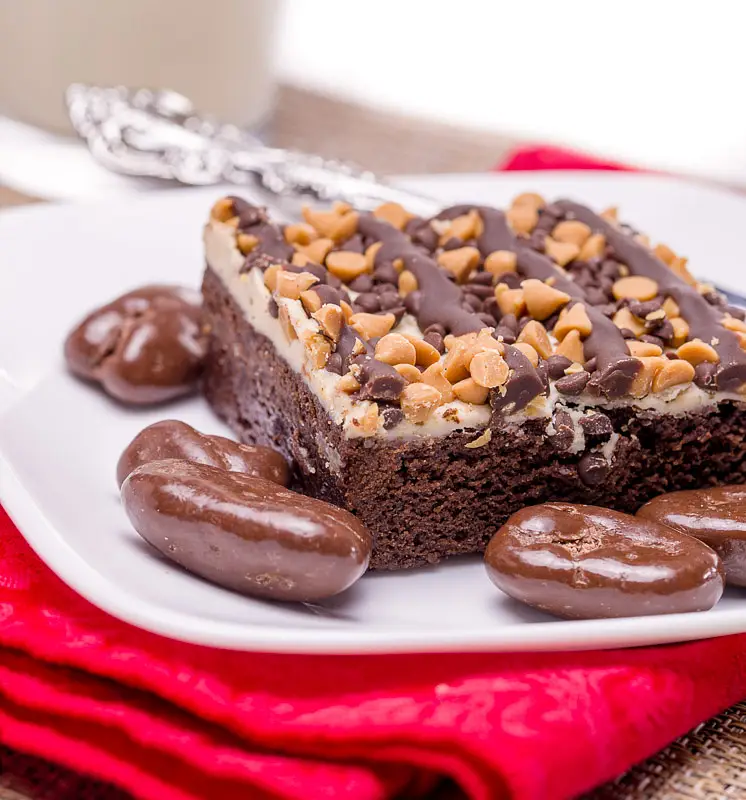 Triple Rich Brownies