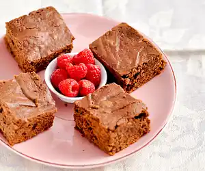 Double Chocolate Brownies Ala Weight Watchers