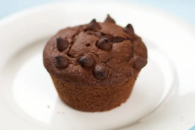 Chocolate Chocolate Chip Cupcakes