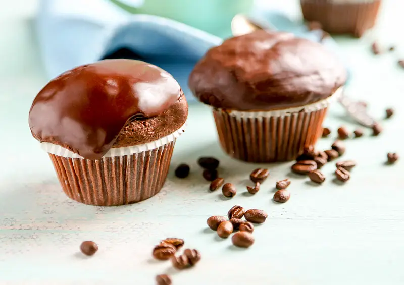 Fudgy Picnic Muffins