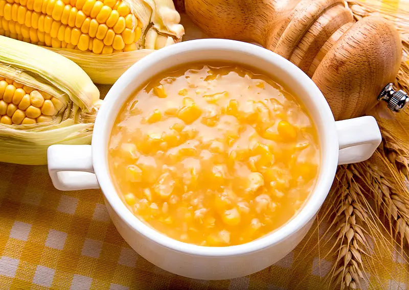 Wholesome Crockpot Porridge