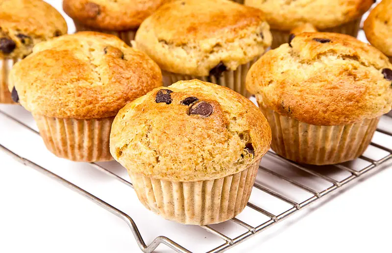 Moist Chocolate Chip Snack Muffins