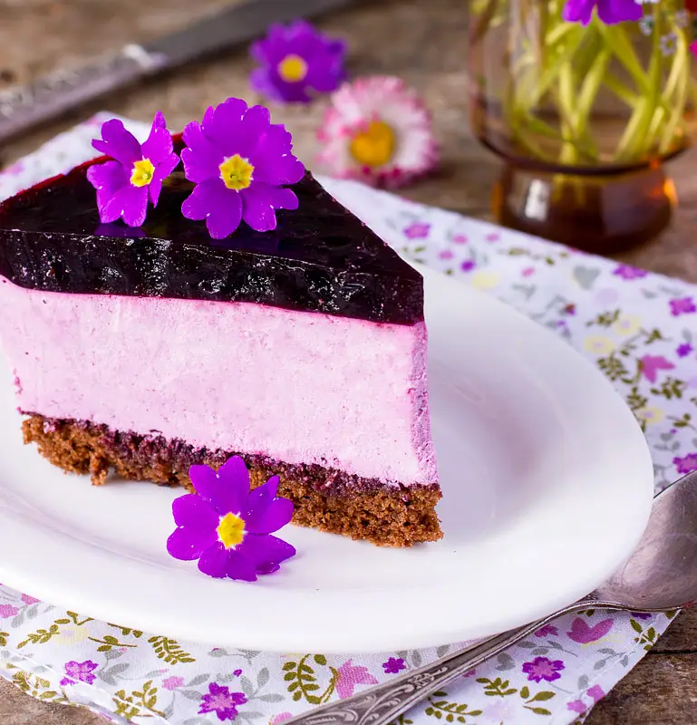 Very Blueberry Cheesecake