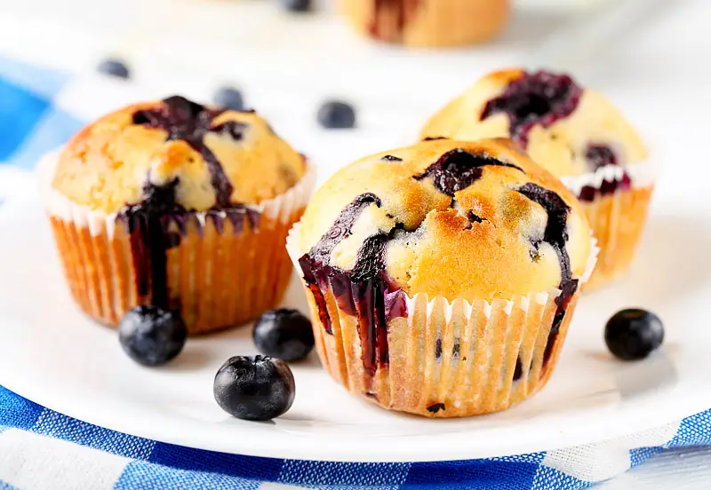 Fresh & Delicate Blueberry Muffins