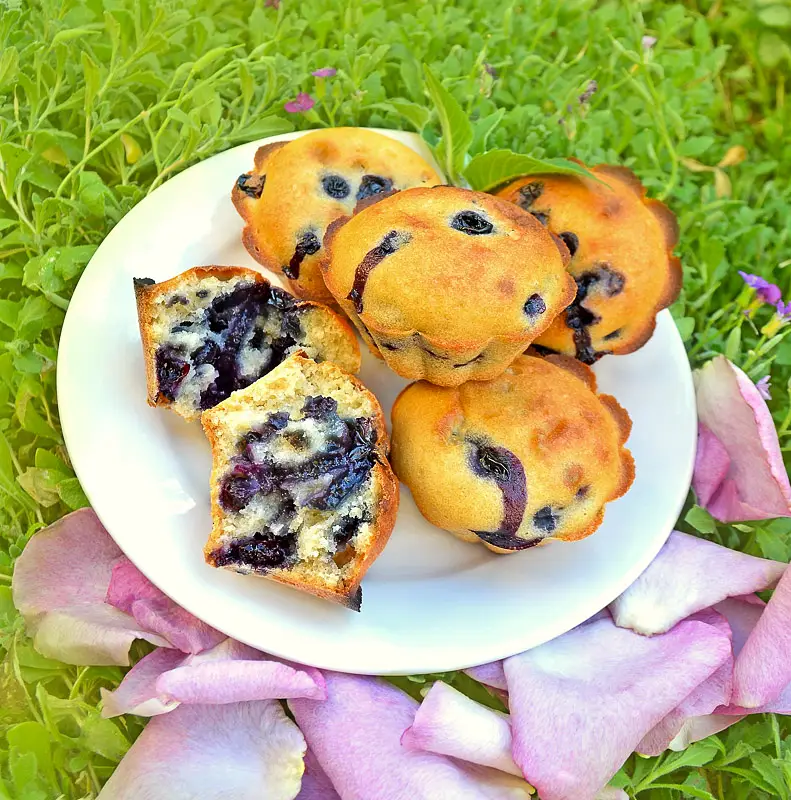 Jordan's Blueberry Muffins