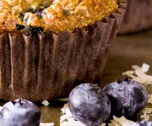 Low-Fat Blueberry Bran Muffins